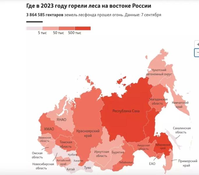 Экологи призывают сократить вырубки хвойного леса в Сибири и на Дальнем Востоке3